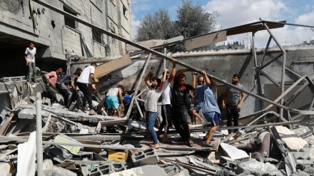 Israel, Gaza, Hamas, domicide