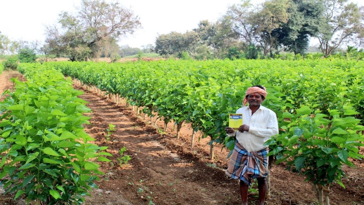 MGNREGA, MGNREGS, Jobs, rural Employment, MGNREGA stats, mgnrega beneficiaries, winter session, Parliament discussions, giriraj singh, ministry of rural development