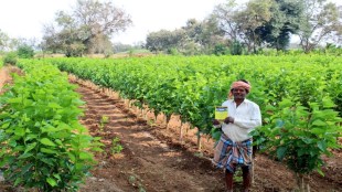 MGNREGA, MGNREGS, Jobs, rural Employment, MGNREGA stats, mgnrega beneficiaries, winter session, Parliament discussions, giriraj singh, ministry of rural development