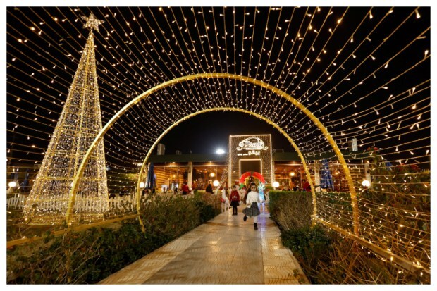 Girls stroll past a beautifully adorned Christmas tree in Najaf, Iraq, on December 25, 2023. (Image: Reuters)