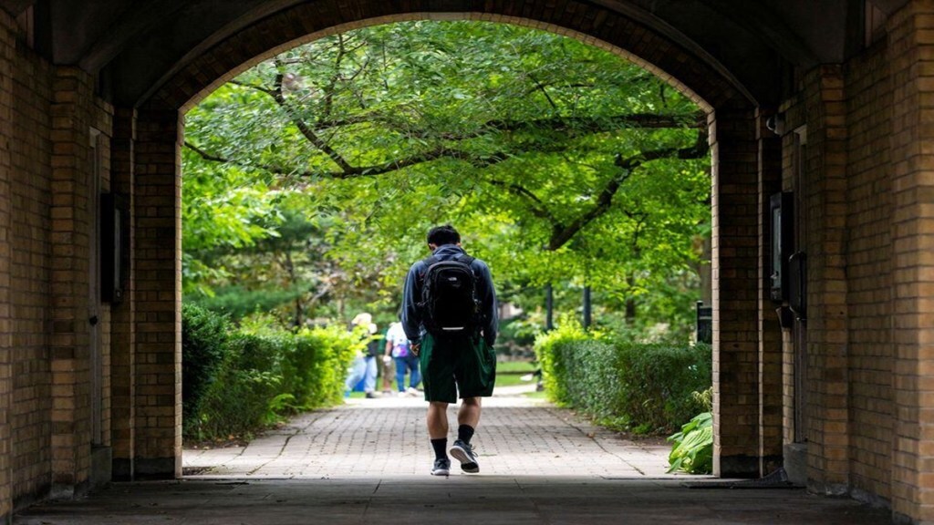 Studying in UK, visa rules, International students, enrollments, universities, skilled workers, sponsored work visas