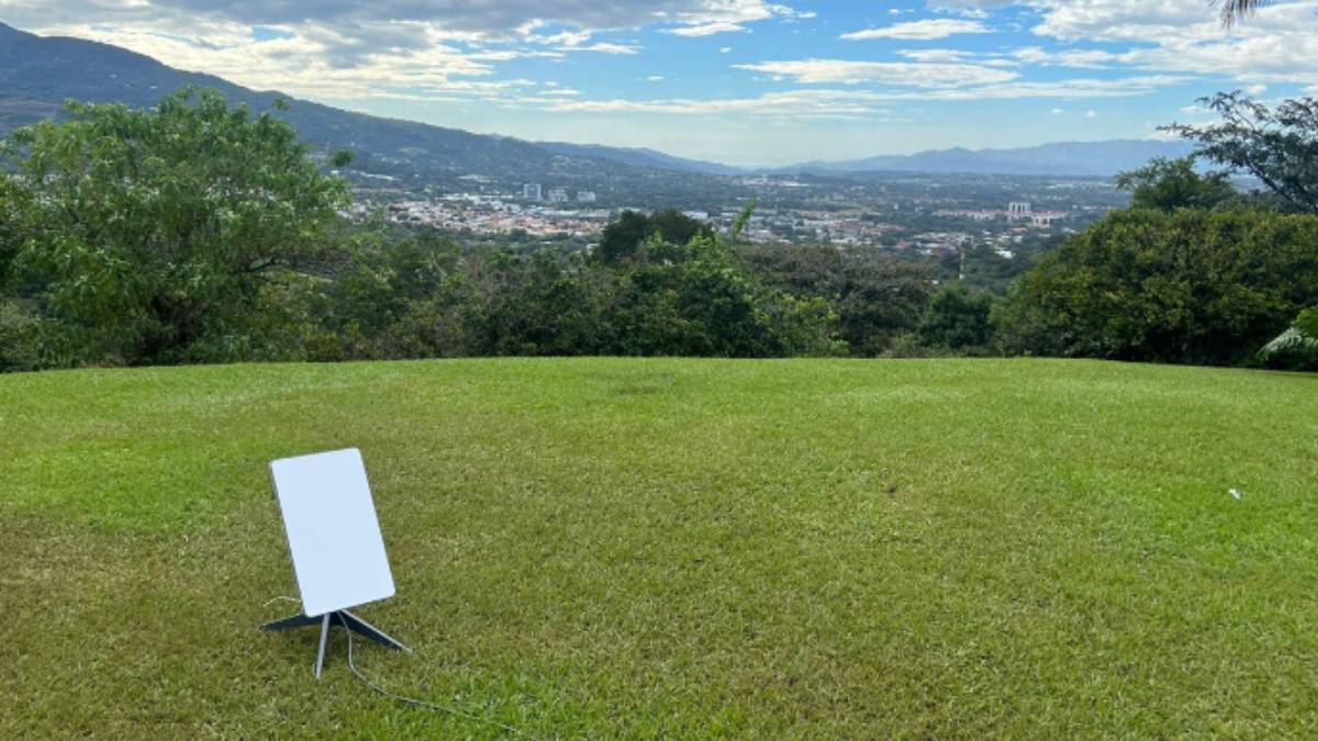 starlink, elen musk. starlink internet, starlink fcc, spaceX, spaceX lose, Starlink satellite, Starlink satellite internet