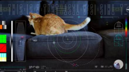nasa, nasa cat video, nasa viral post, nasa viral, viral video, isro