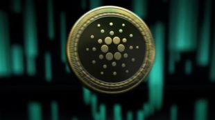 Binance last month pleaded guilty to US anti-money laundering and sanctions contraventions