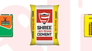 Jefferies has issued a 'hold' recommendation on Shree Cement, accompanied by a 7% reduction in the target price to Rs 25,750.