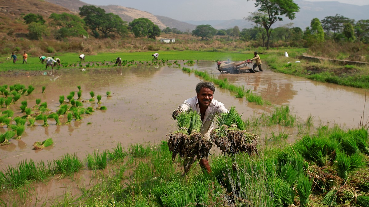 farmers