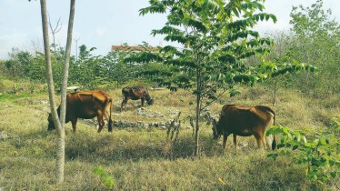 lifetsyle, financial express news, financial express, EaseMyTrip, EaseMyTrip news