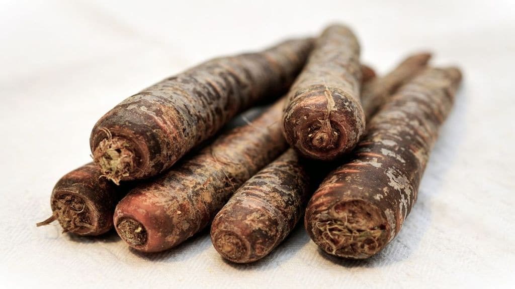 Carrots, carrots vegetables, black carrots, black carrots benefits, black carrots side effects, health news, wellness news,