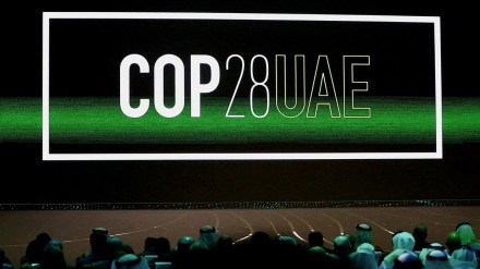 cop 28