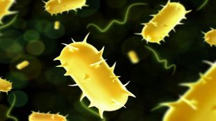 Walking Pneumonia, Pneumonia, Health Ministry, lung infection, China's respiratory illness, healthcare news,