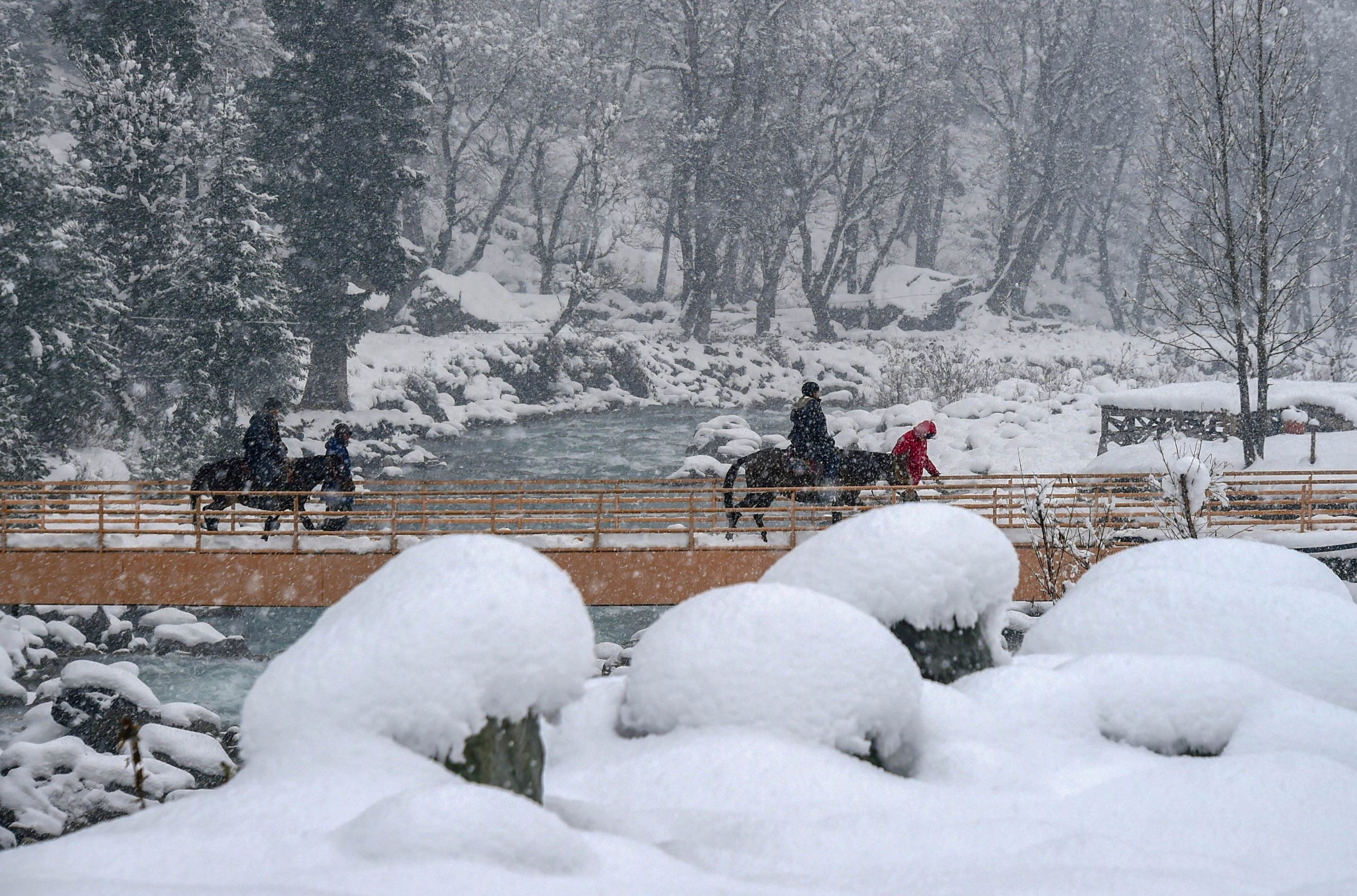 Stunning pics of snowfall in Himachal Pradesh's Lahaul-Spiti