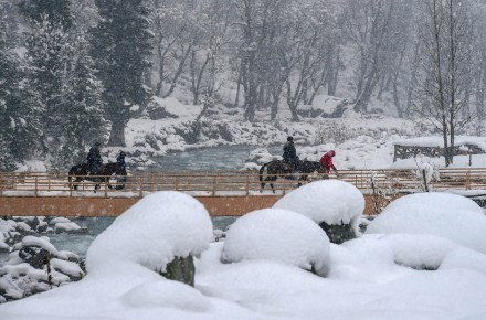 Stunning pics of snowfall in Himachal Pradesh's Lahaul-Spiti