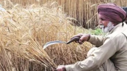 Rabi, Rabi crops, Rabi India, Rabi crops india, rabi crops sowing India