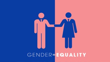 gender equality, gender equality in india, india gender equality, gender equality meaning gender equality, gender equality in india, india gender equality, gender equality meaning