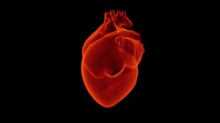 Stent, coronary heart disease, Terumo India, healthcare news,