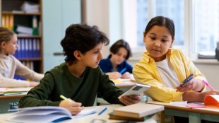 The guidelines specifically outline key aspects of career guidance and psychological counseling