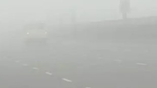 Fog, Delhi fog, fog in Delhi, road safety fog, NHAI, National Highway Authority of India, winter season, fog conditions, road safety measures, highways, highway, roadways