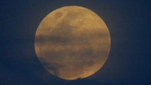 moon (12)
