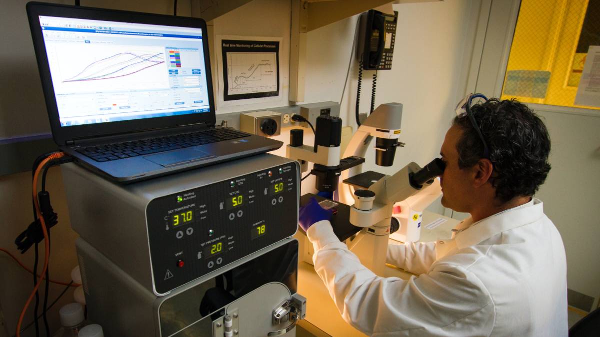 cancer, cancer treatment,Artificial intelligence, artificial intelligence, cancer, ai, ai in medical