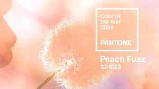 Pantone, Pantone colour, Pantone colour of 2024, 2024 Pantone colour, Pantone peach fuzz, peach fuzz, lifestyle