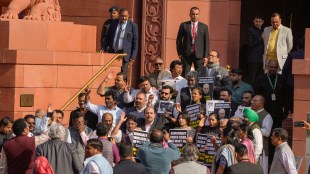 Members of Parliament, Bharatiya Janata Party, Rajya Sabha, Lok Sabha, top news, latest news, business news,