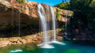 environment, environmental impact, food security, north east environment, north east environmental impact, north east environmental impact, north east environmental study, dubai cop 28, cop 28, UN environment