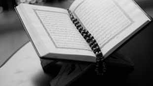 Quran burning, Koran burnings in Europe, Koran burning in Sweden, Islamophobia, Islam, muslim world,