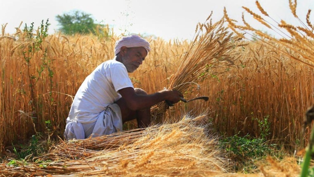 Sowing of rabi crops down 3%