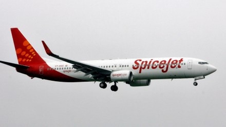 SpiceJet, SpiceJet news, SpiceJet stock, SpiceJet stock rises 20%