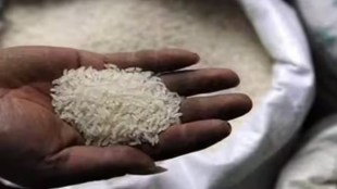 Rice export, economy news, Indian economy, non-basmati rice India, Indian rice