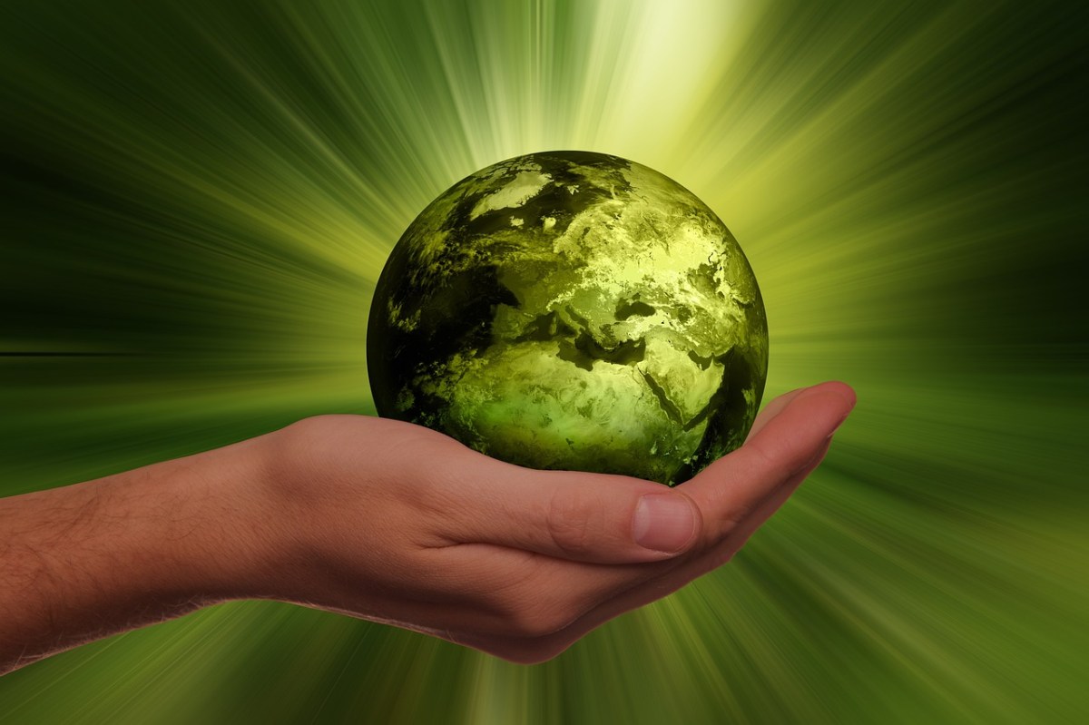 Sustainability is crucial for all businesses, especially those involved in renewed products.