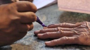 Madhya Pradesh Election Results 2023 Date:When, Where and How to check results on December 3