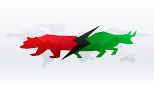 Bull and bear