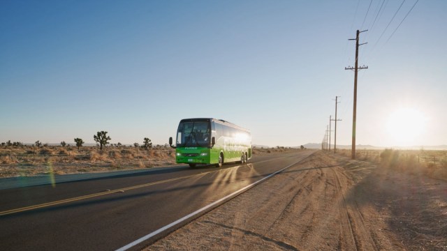 Bus