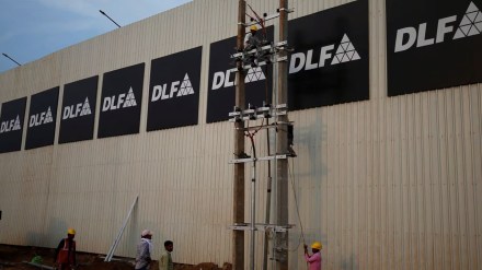 DLF,
