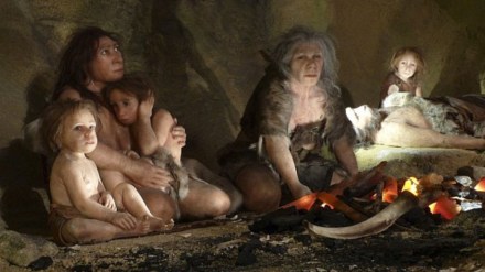 neanderthals and humans