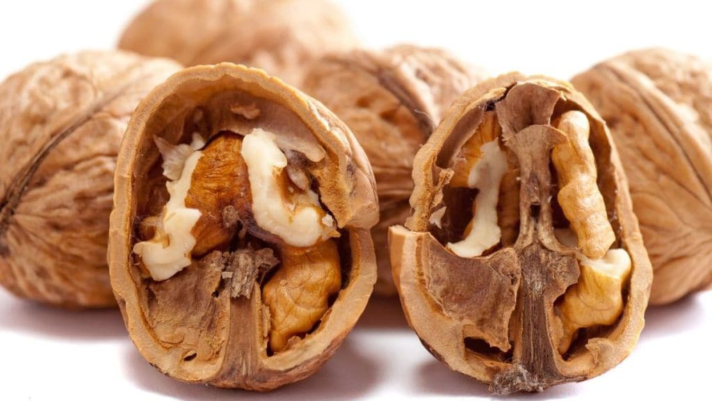 Nuts, breakfast, eggs, BioMed Central, monounsaturated fats, polyunsaturated fats, vitamins, antioxidants, essential minerals, fiber, protein, cardiovascular health, heart health, cardiovascular risk