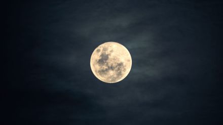 Moon shrinkage, lunar landslides, Moonquakes, Artemis crewed landings, lunar seismic patterns, NASA mission, lunar infrastructure, moon surface dynamics, planetary science study, Nicholas Schmerr