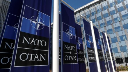 NATO chief, Sweden, Jens Stoltenberg, top news, latest news, world news,