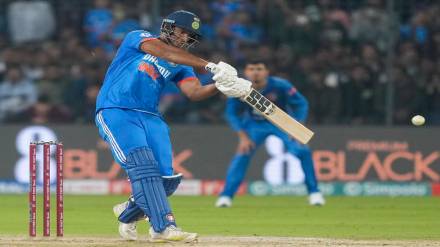 cricket