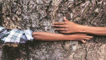 Chipko