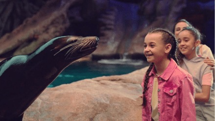 The video invites viewers to explore the diverse experiences available at Yas Island