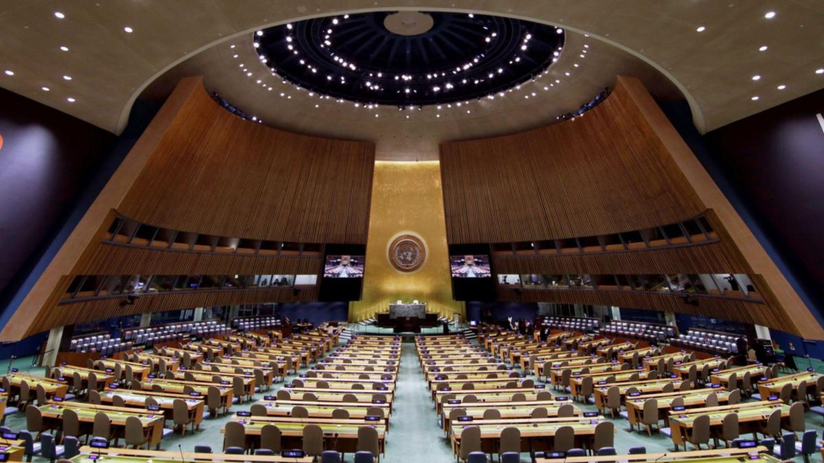 Singapore Convention, united nations general assembly, un general assembly, opinion