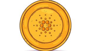 Ardoino tweeted that at least some of the material offered may be paid