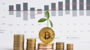 Reportedly, speculative traders are also piling onto platforms such as Pendle Finance