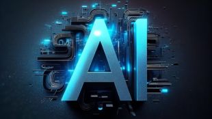 Support for portfolio companies varies across functions