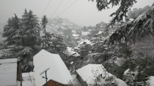 Shimla’s upper regions including Narkanda, Chanshal, and Hatu Peak, along with other elevated terrains (Image/ANI)
