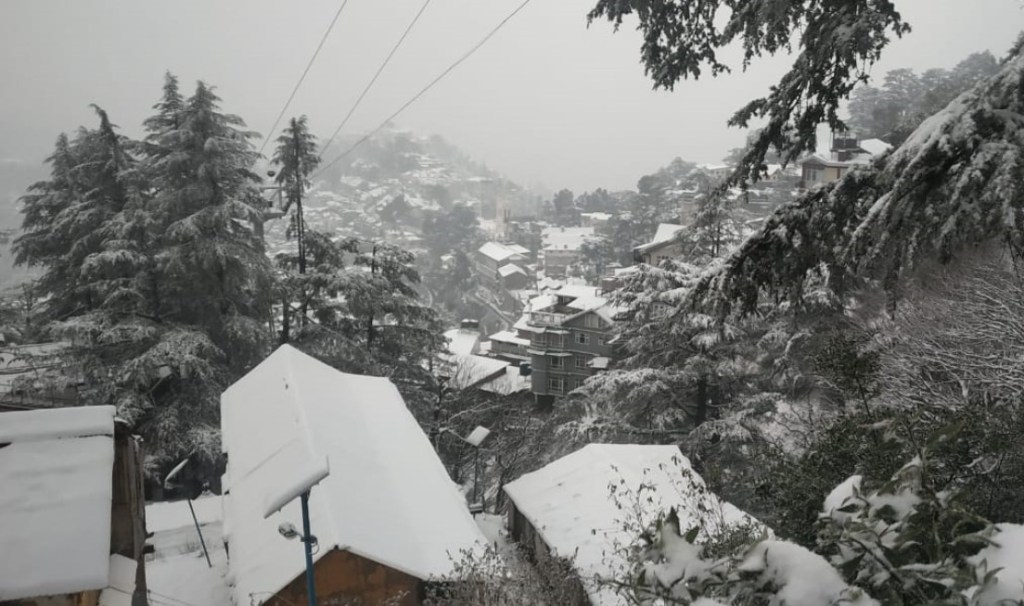 Shimla’s upper regions including Narkanda, Chanshal, and Hatu Peak, along with other elevated terrains (Image/ANI) Shimla’s upper regions including Narkanda, Chanshal, and Hatu Peak, along with other elevated terrains (Image/ANI)