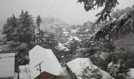 Shimla’s upper regions including Narkanda, Chanshal, and Hatu Peak, along with other elevated terrains (Image/ANI) Shimla’s upper regions including Narkanda, Chanshal, and Hatu Peak, along with other elevated terrains (Image/ANI)