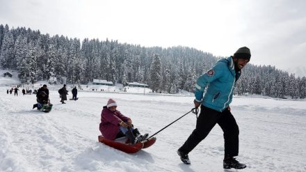 A man pulls a sledge carrying a tourist on a sunny day in Gulmarg (Image/Reuters)